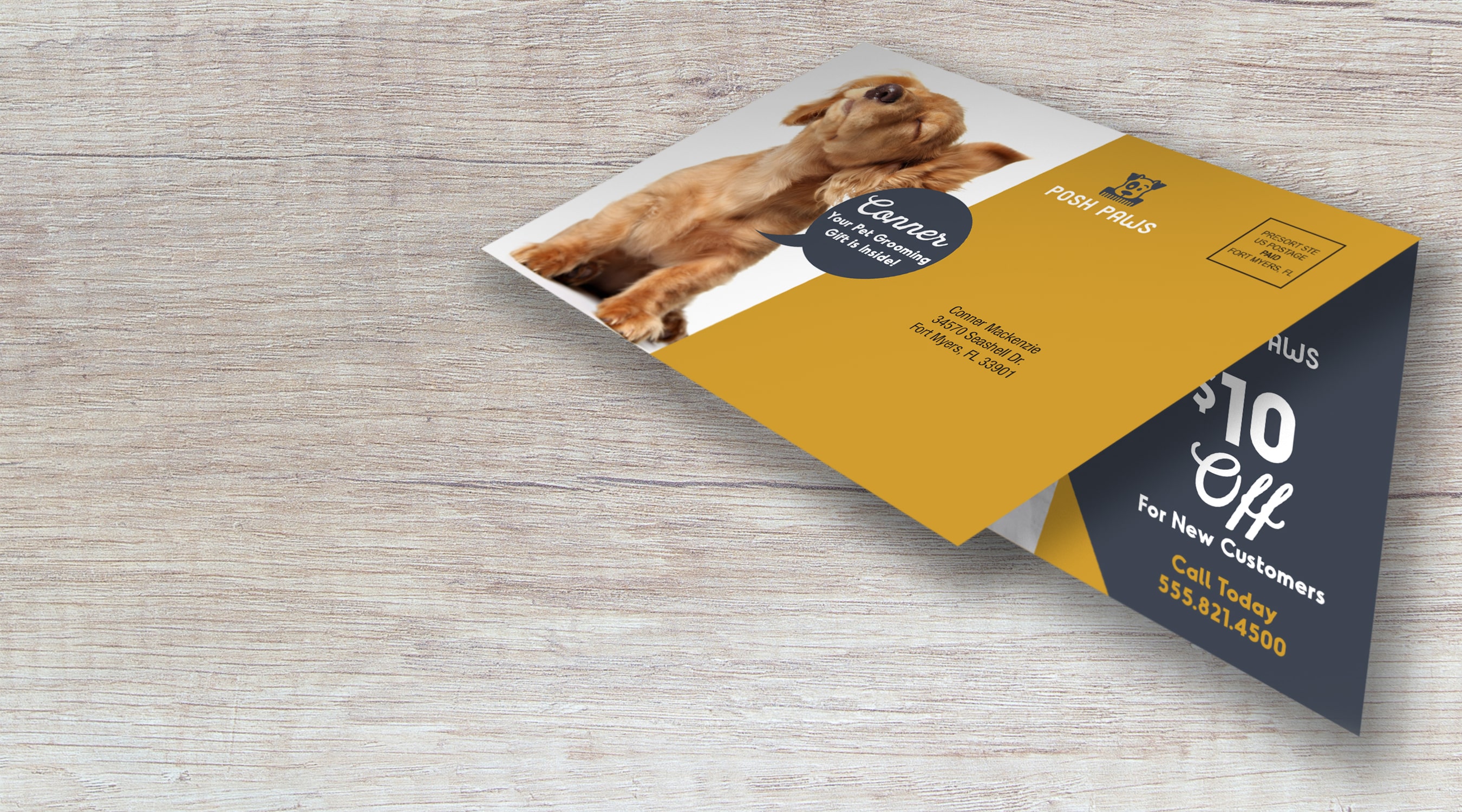 Grooming Postcard